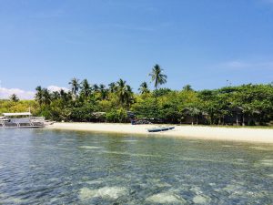 Cebuとの出会い