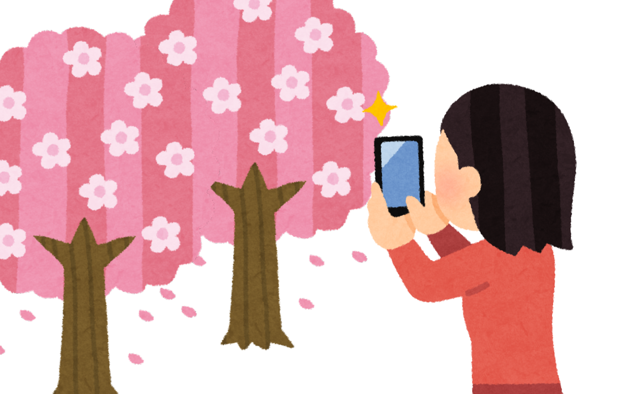 満開の桜