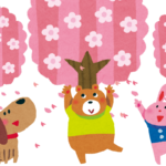 Bloom, bloom, cherry blossoms bloom!