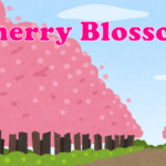 今年も桜の季節がやってきた!